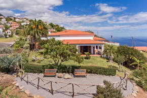 Southern Sunny House by An Island Apart